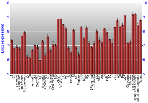 Expression graph