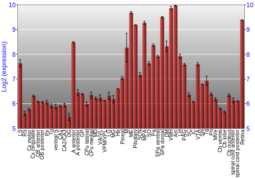 Expression graph