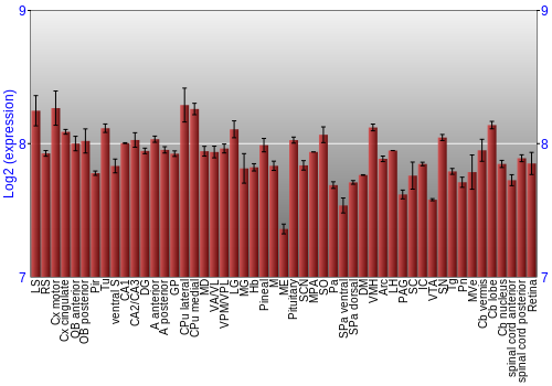 Expression graph