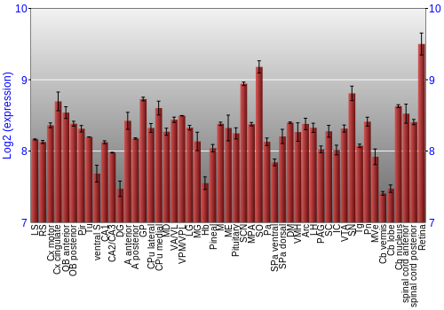Expression graph