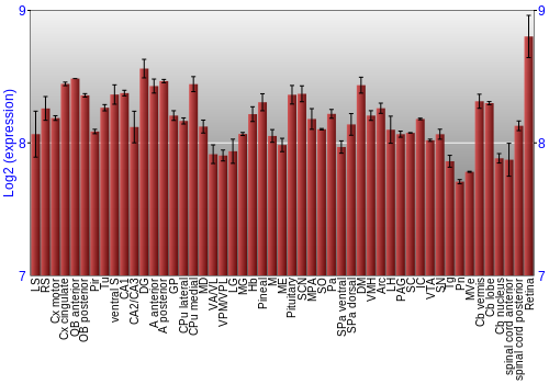 Expression graph