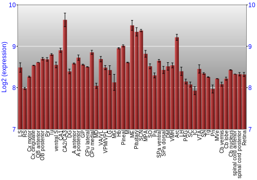 Expression graph