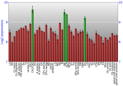 Multi-state expression graph