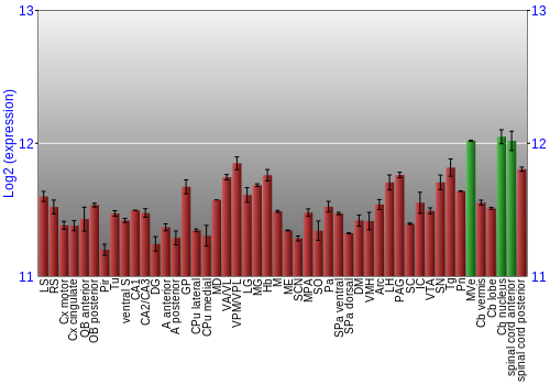 Multi-state expression graph