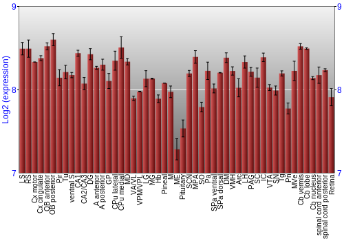 Expression graph