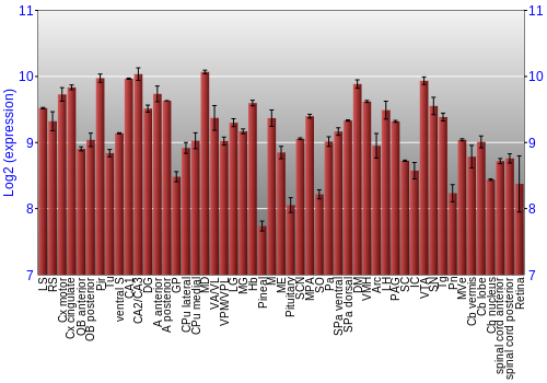 Expression graph