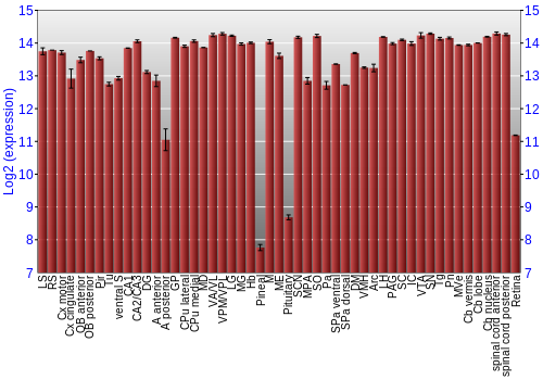 Expression graph
