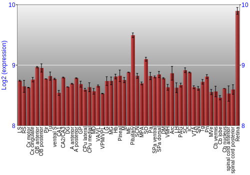 Expression graph