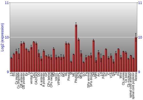 Expression graph