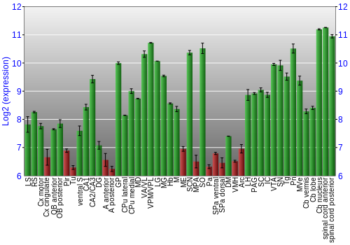 Multi-state expression graph