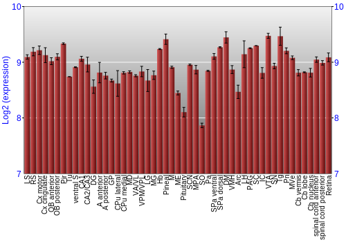 Expression graph