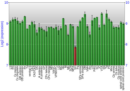 Multi-state expression graph