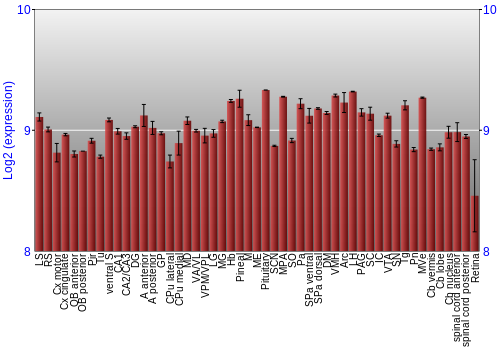 Expression graph