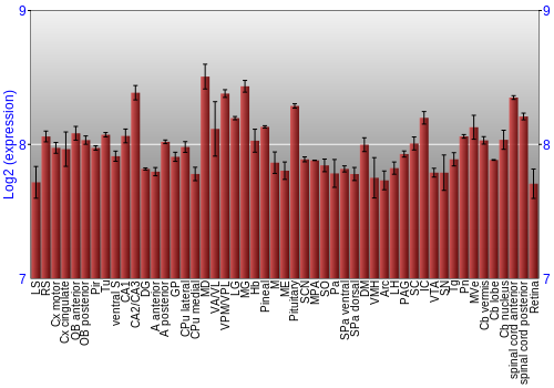 Expression graph