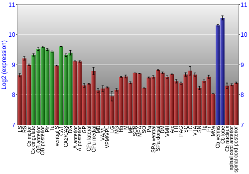 Multi-state expression graph