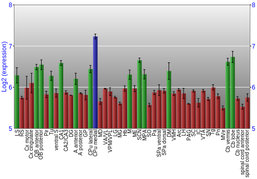 Multi-state expression graph