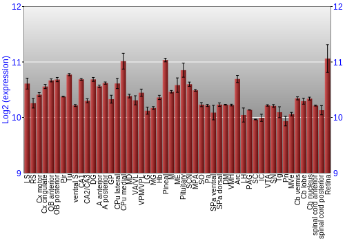 Expression graph