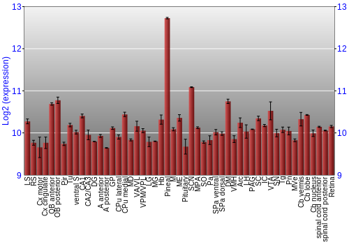 Expression graph