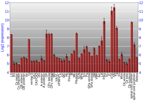 Expression graph