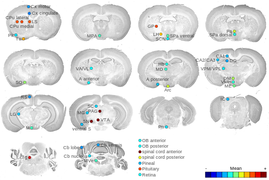 Expression map