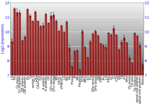 Expression graph