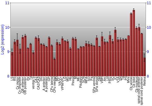 Expression graph