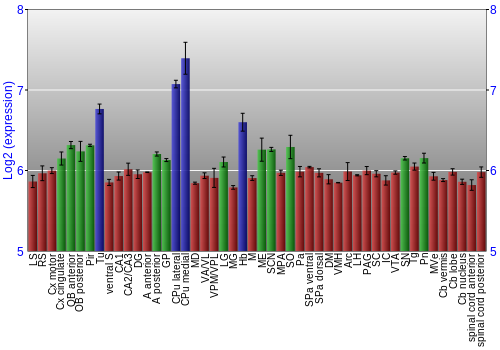 Multi-state expression graph