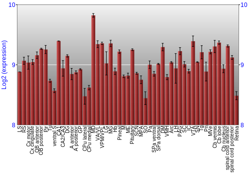 Expression graph