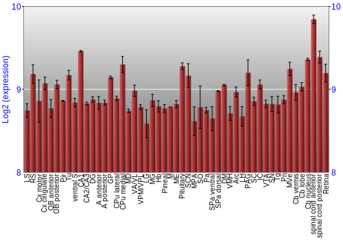 Expression graph
