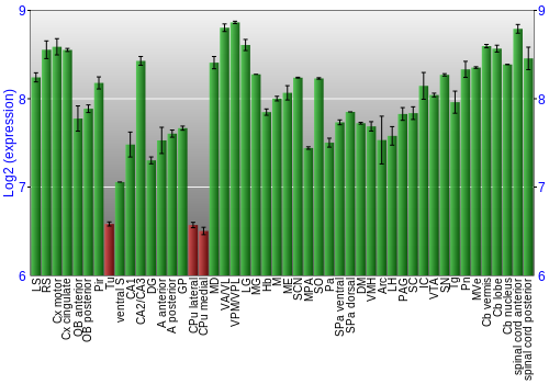 Multi-state expression graph