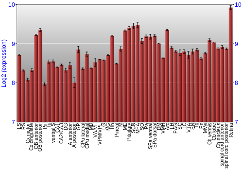 Expression graph