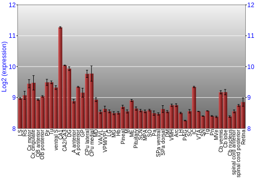 Expression graph
