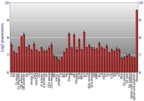 Expression graph