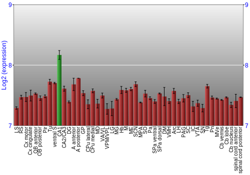 Multi-state expression graph