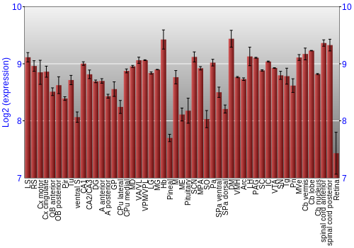 Expression graph