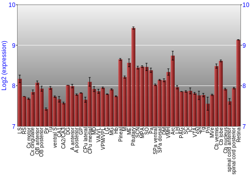 Expression graph