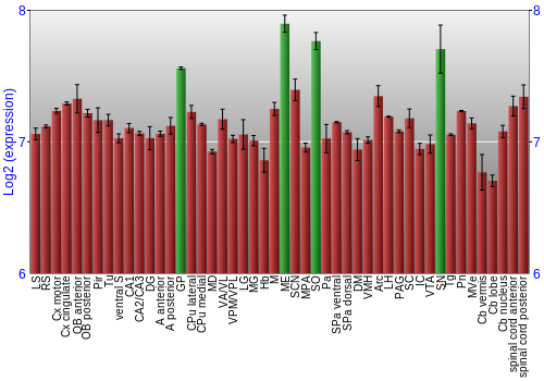 Multi-state expression graph