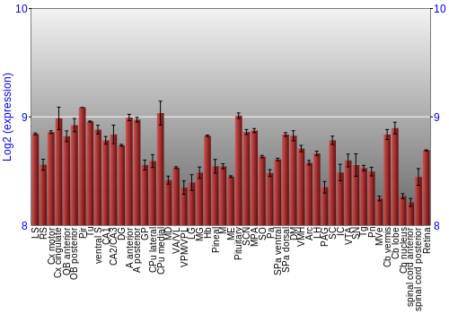 Expression graph