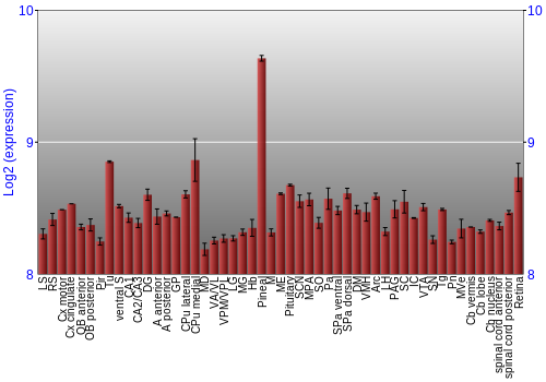 Expression graph