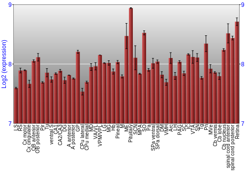 Expression graph