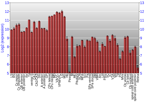 Expression graph