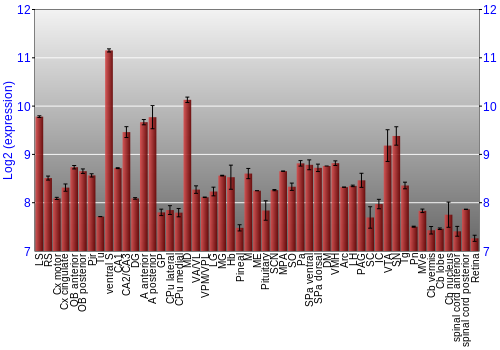 Expression graph