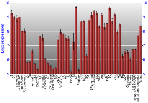 Expression graph