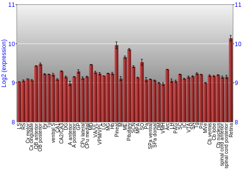 Expression graph