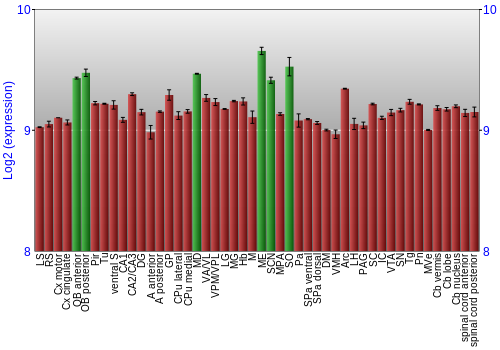 Multi-state expression graph