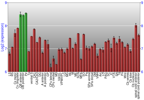 Multi-state expression graph