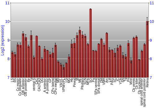 Expression graph