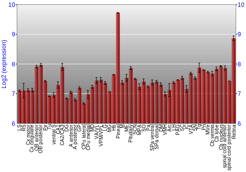 Expression graph