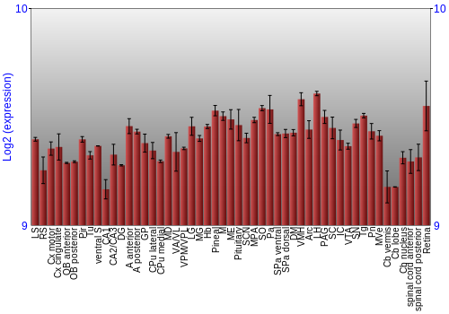 Expression graph
