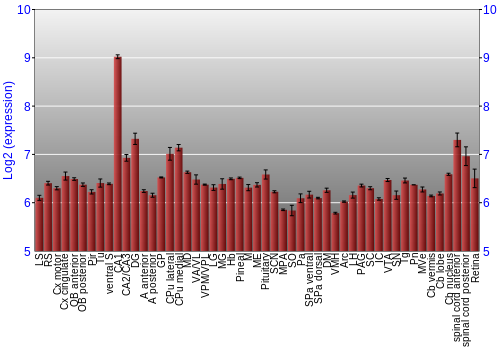 Expression graph